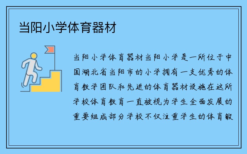 当阳小学体育器材