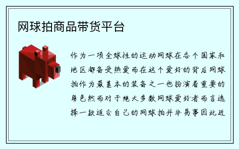 网球拍商品带货平台