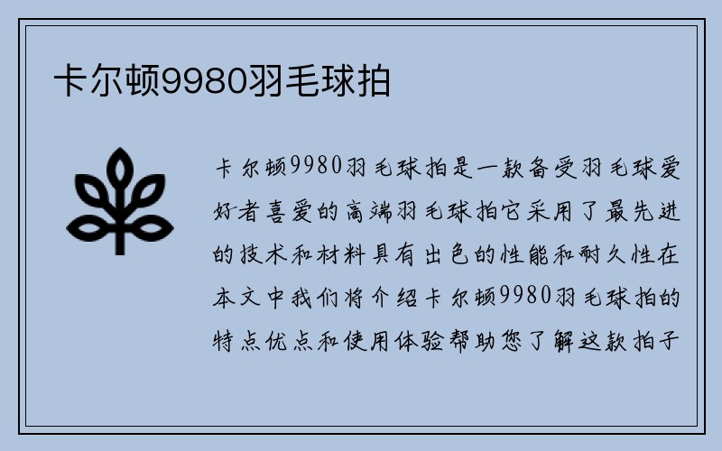 卡尔顿9980羽毛球拍